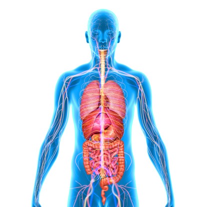 Cholelithiasis